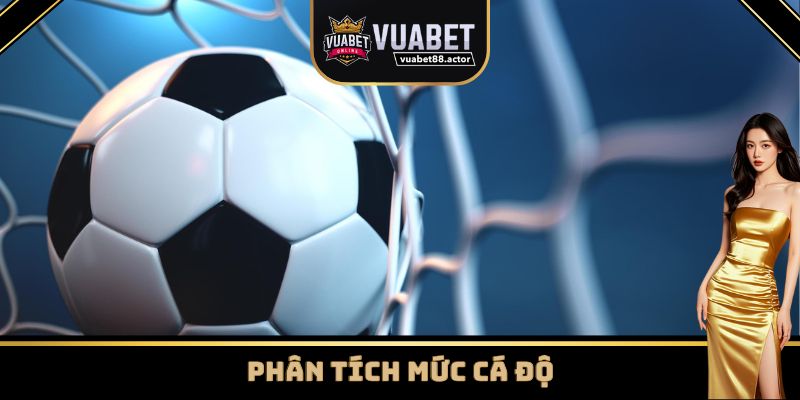 Phân tích tỷ lệ cá cược khi soi kèo bóng đá