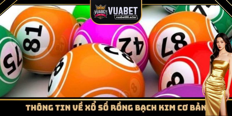 Giới thiệu chung về Soi cầu rồng bạch kim